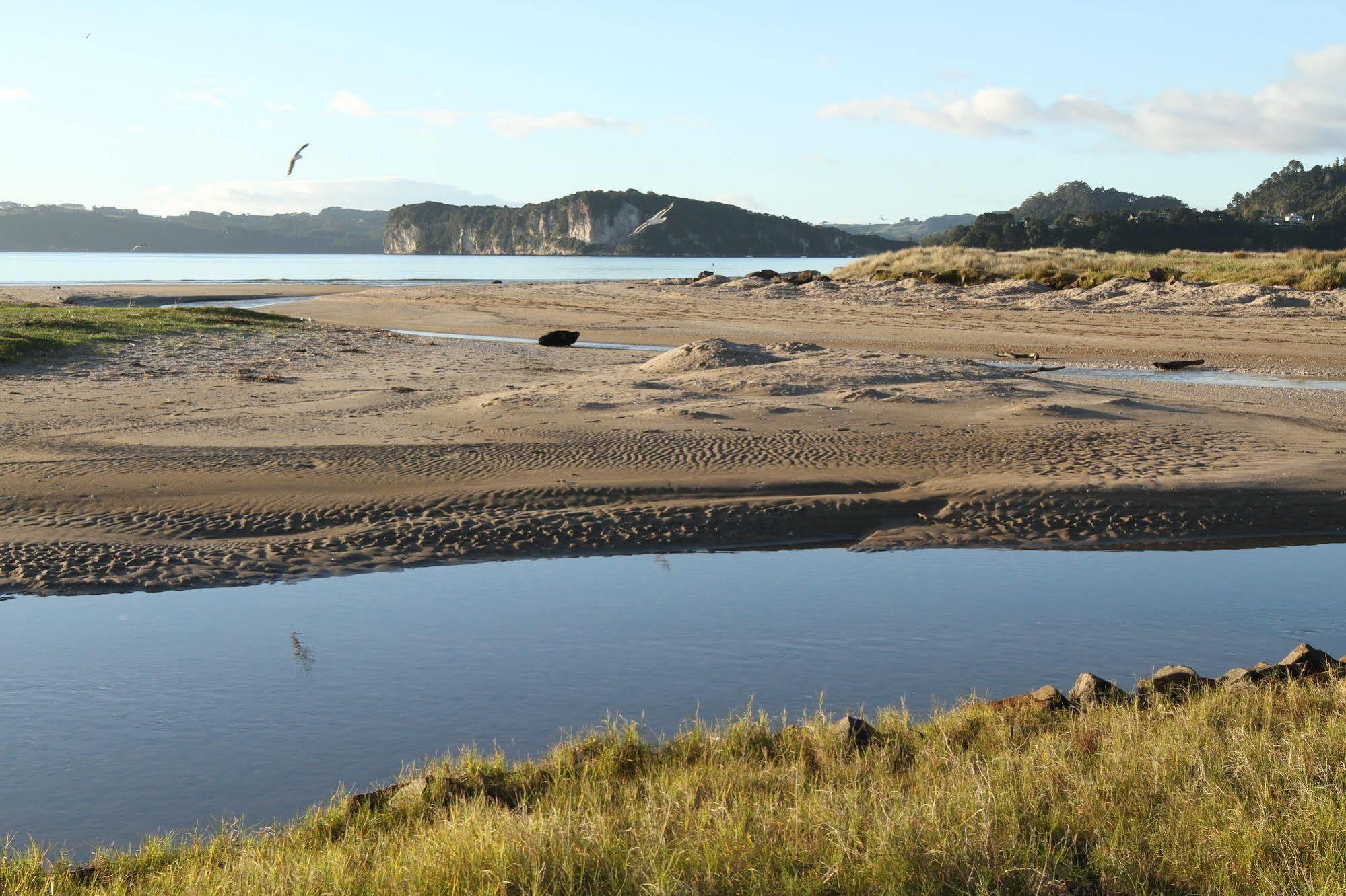 Admiralty Lodge Motel Whitianga Dış mekan fotoğraf