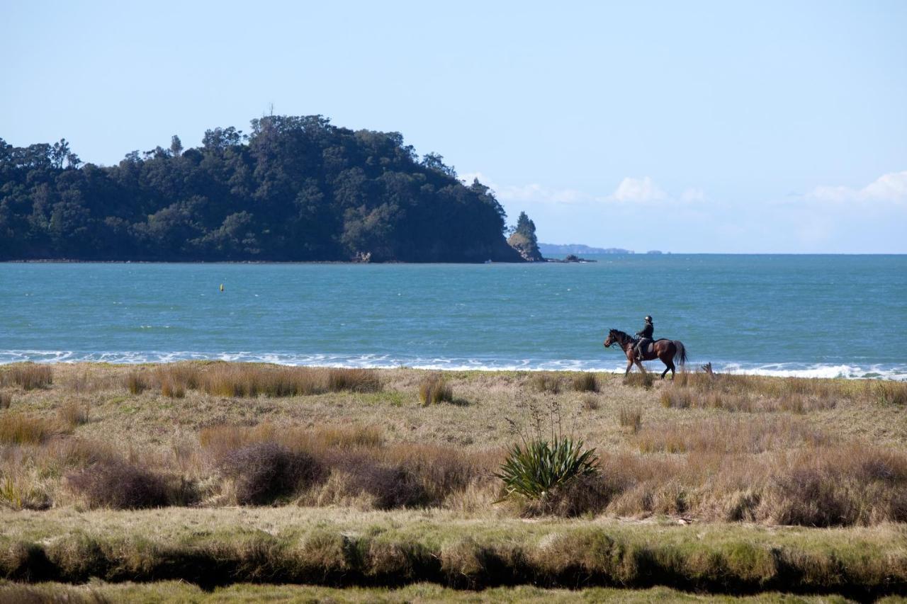 Admiralty Lodge Motel Whitianga Dış mekan fotoğraf